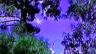 Macho Wannabe (USA 1992, Victoria Paris, Sunny Mc Kay)60fps - Victoria paris