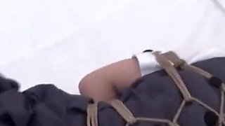 Binding Appreciation #12