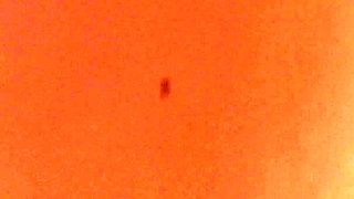 Share Bed with Stepsister in Hotel Room POV