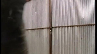 Interracial Couch Fuck & Blonde Dildo Play