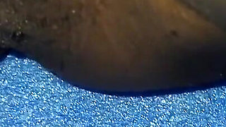 Desi Village Girl Tight Pussy First Time XXX Video, Desi Hot Beautiful Tgirl Home Sex