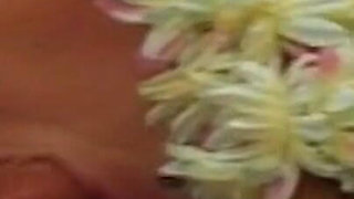 Big Omar's British Adventures: No Holes Barred (2001)