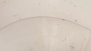 Licking Dirty Floor and Toilet, Flashing Head in It