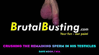 Whipped Testicles! We're Destroying All the Remaining Sperm in His Fucking Scrotum! - Dave Moon - Mia - Bbusting (ballbusting)