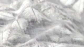 Will step mom get fucked by step son big dick or not