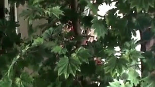Stepson catches Stepmom naked outside