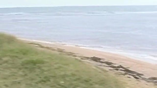 Gina Ryder: an Intense Summer Beach Fuck