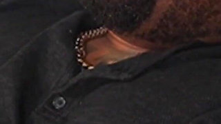 Big Booty Latina Misty Gets Pounded by BBC for First