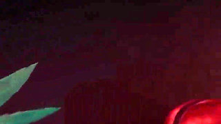 Wild Life Hot Gangbang Orgy