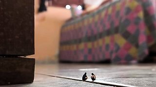 Giantess Hajar - The Sleeping Giantess Tiny Thieves Fx