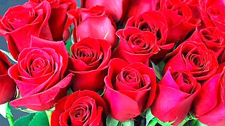 Jaw-dropping mature hotwife in saree has a wild adventure with her husband