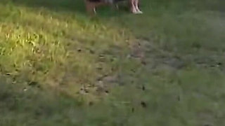 A Bold Pink Companion Turns Every Hot Spring Date Into Unrestrained Temptation with a Wicked Smile Part 1